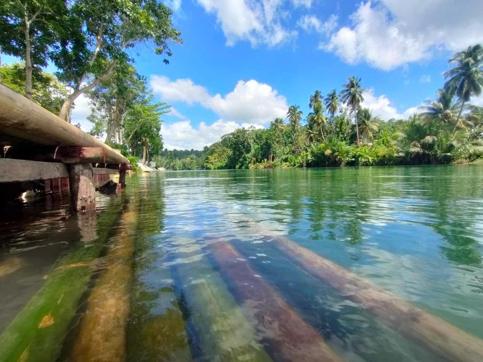 Gbu Loboc River Guesthouse Zewnętrze zdjęcie